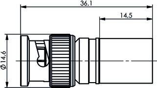 Telegärtner BNC-Kabelstecker 100023321