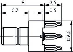 Telegärtner SMB-Stecker für LTP 50Ohm 100024856
