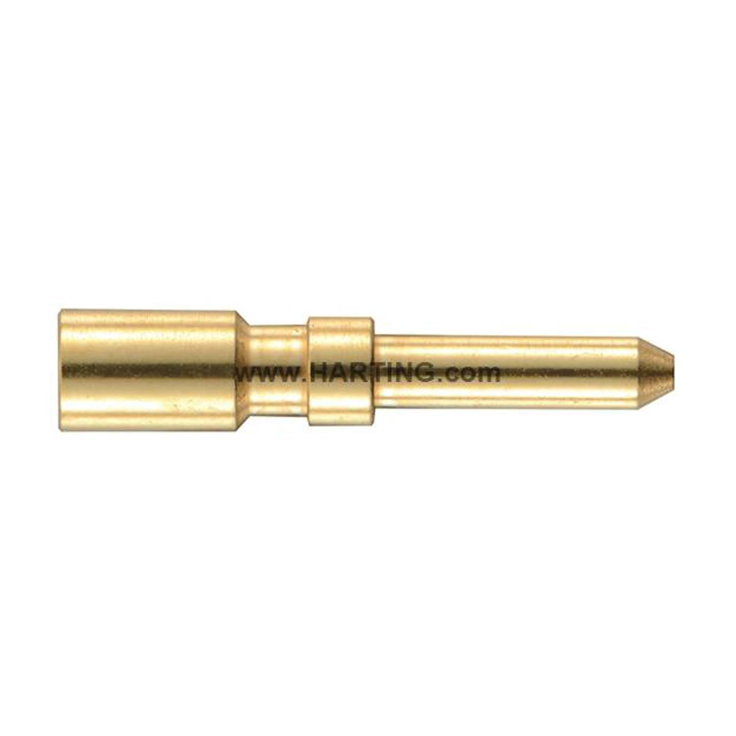 Goldfarbener Metall-Elektrokontaktstift auf weißem Hintergrund, mit konischem Ende und „www.HARTING.com