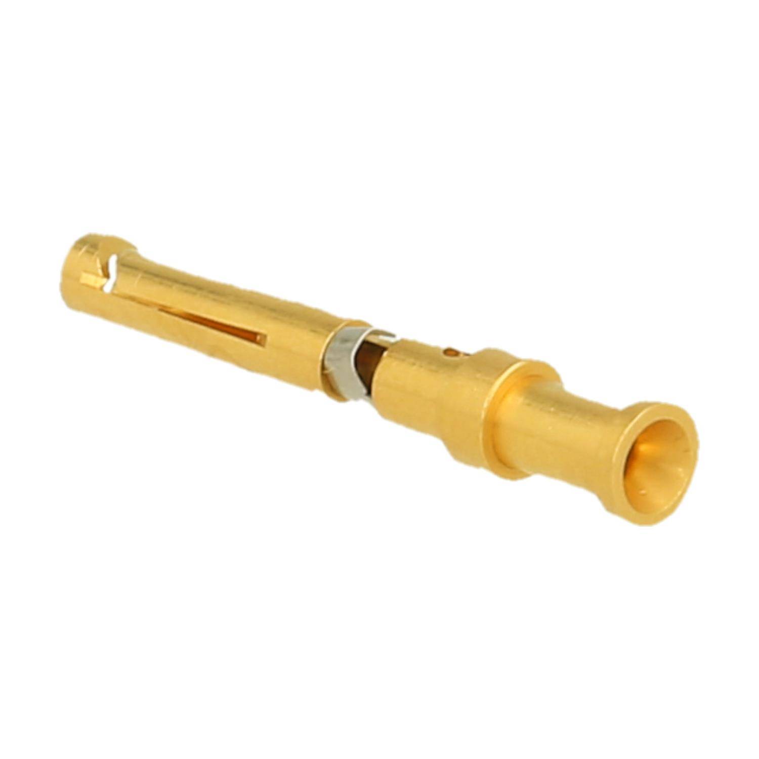 Ein goldener elektrischer Steckerstift, der zum sicheren Anschluss von Drähten in elektronischen Anwendungen verwendet wird.