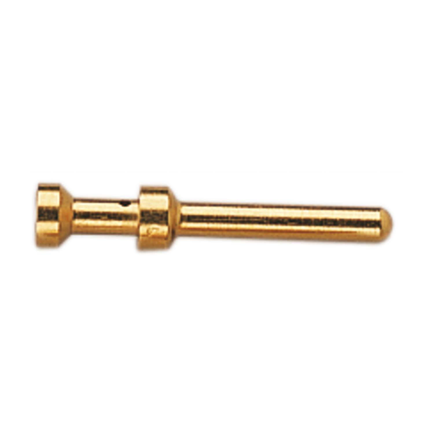 Eine kleine, zylindrische Goldmetallstift mit einer breiteren Basis an einem Ende.