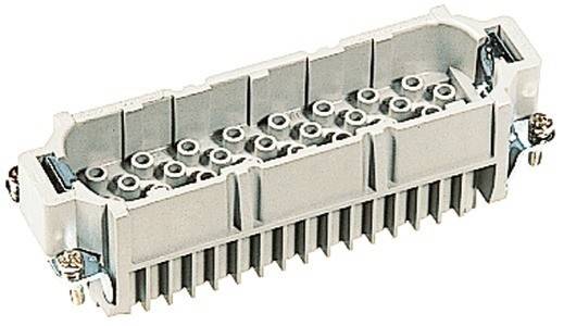 Kunststoff-Verbindungsblock mit Schraubklemmen in zwei Reihen, verwendet für elektrische Verdrahtung.