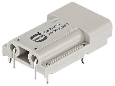 Ein grauer elektrischer Steckverbinder mit Metallstiften, beschriftet mit '10A/250V/0.8kV' und '2m'. Geeignet für elektronische oder Stromversorgungsanwendungen.