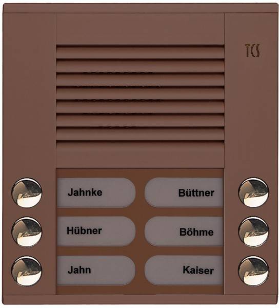 TCS Tür Control Audioaußenstation 2-reihig PES06-EB/04