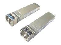 Zwei silberne Faseroptik-Transceiver-Module auf weißem Hintergrund, jedes mit sichtbarem Stecker-Ende.