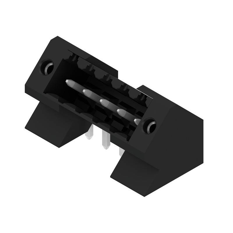 Ein schwarzer elektronischer Stecker mit zwei Metallstiften und Befestigungslöchern, aus einem leicht geneigten Blickwinkel betrachtet, der die Perspektive seines Designs andeutet.
