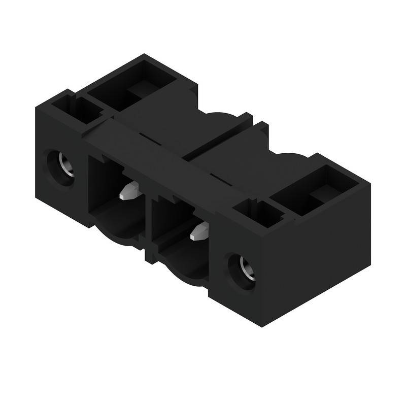 Eine 3D-Darstellung eines schwarzen, zweislotigen elektrischen Anschlusses mit sichtbaren Anschlüssen für Verkabelung, konzipiert für die Montage auf einer Leiterplatte.