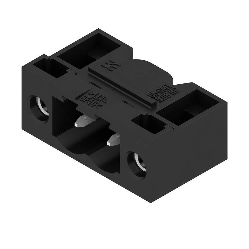 Ein schwarzer elektrischer Anschlussklemmenblock mit zwei Anschlusspunkten und Schrauben, der zum Sichern und Verbinden von Drähten in elektronischen Schaltkreisen verwendet wird.