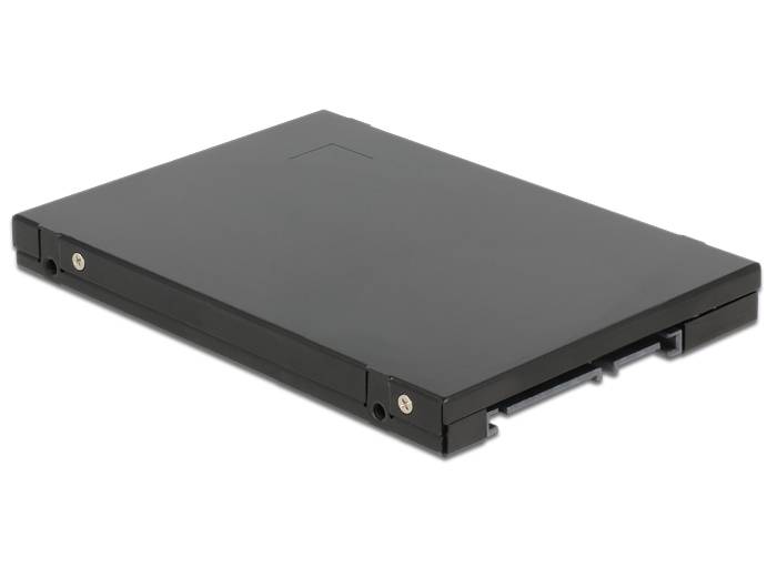 DeLOCK - Speichercontroller (RAID) - mSATA - mSATA