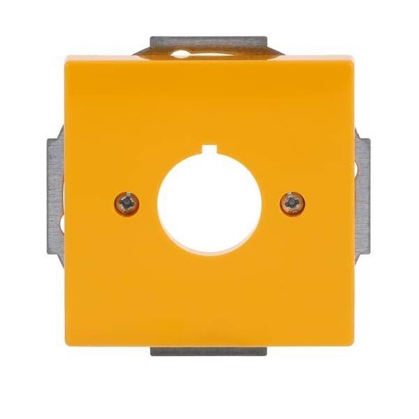 Busch-Jaeger Zentralscheibe gelb 2533-82-15