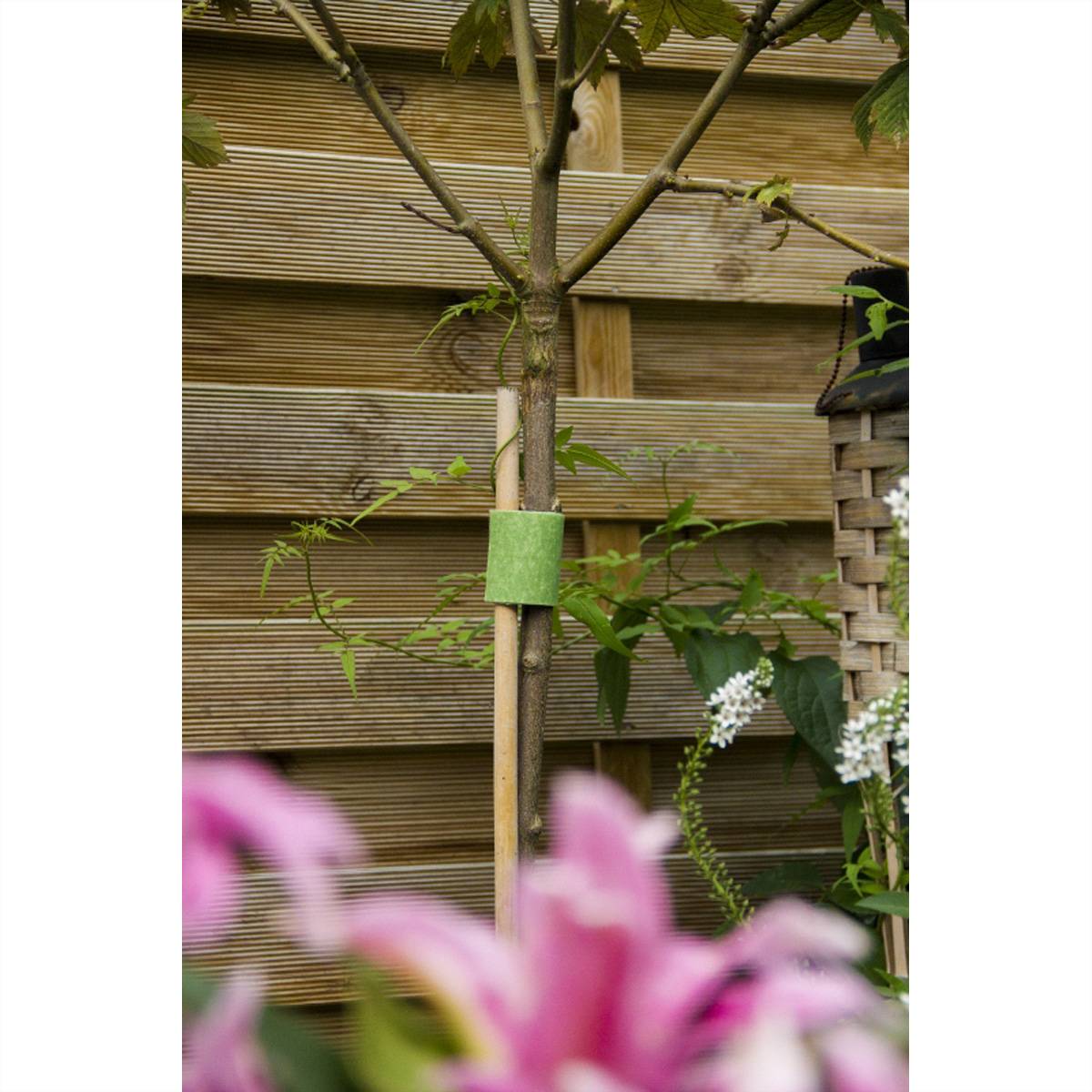 VELCRO® ONE-WRAP® Klettband Baumanbinder, ONE-WRAP® Band 50mm x 5m Grün