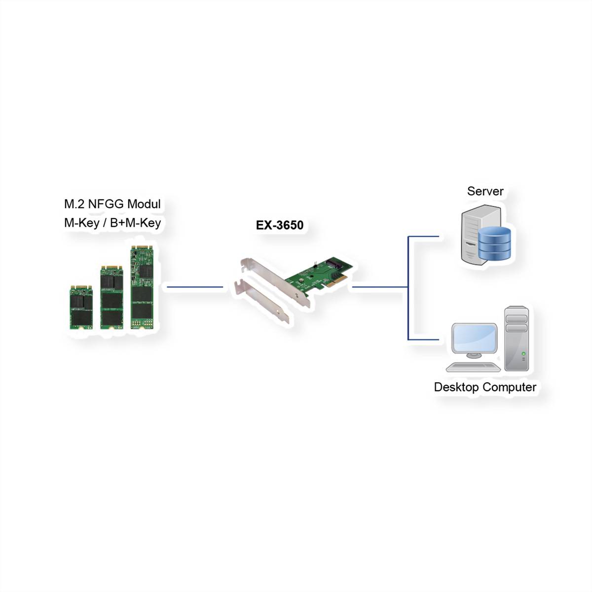 EXSYS EX-3650 PCIe Controller zu M.2 NFGG Modul