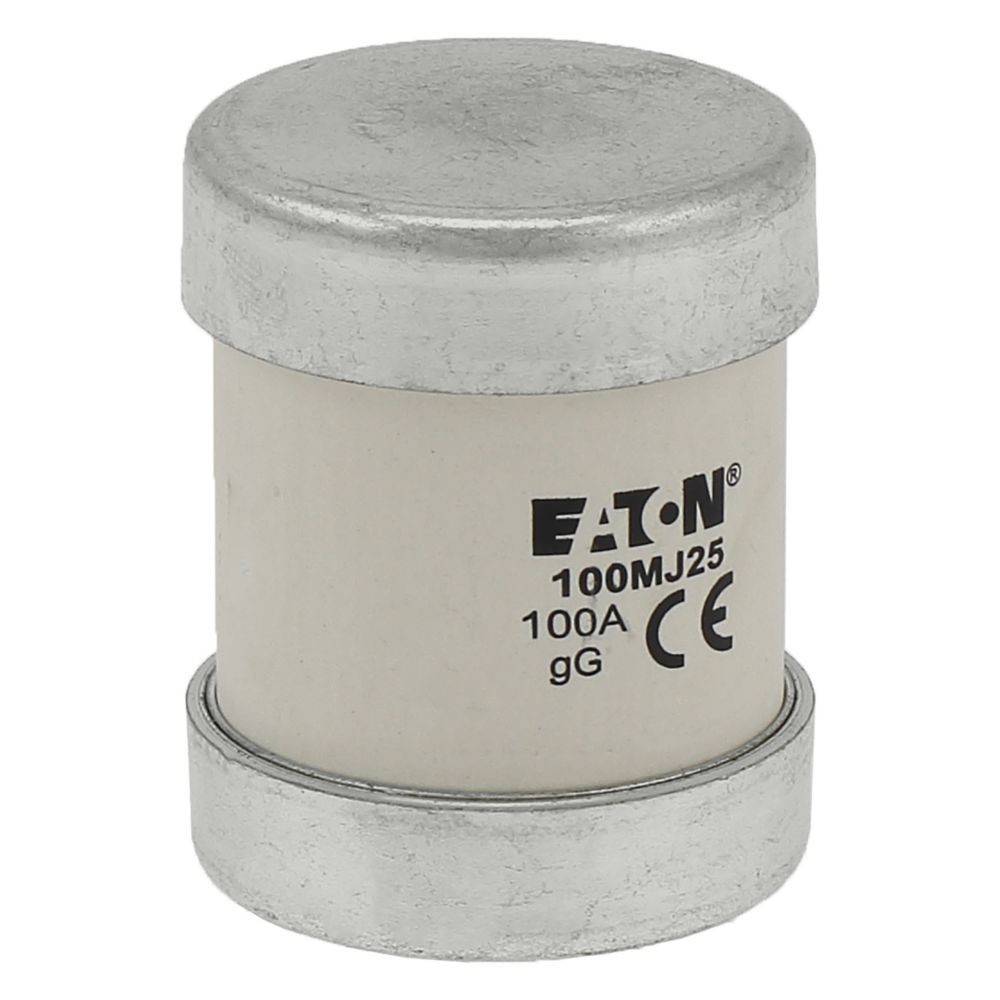 Eine zylindrische elektrische Sicherung mit der Markierung '100MJ25', '100A', 'gG' und 'CE', konzipiert für Anwendungen mit hohen Stromstärken.
