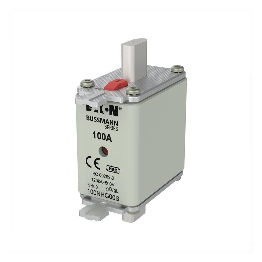 Eine 100A Bussmann-Sicherung mit weiß-grauem Gehäuse, versehen mit Konformitätszeichen und Modellinformationen auf dem Körper, entwickelt für elektrische Sicherheit.