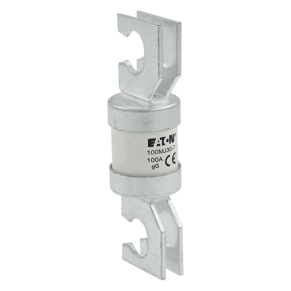 Eine zylindrische Eaton-Sicherung mit einer Nennstromstärke von 100A, ausgestattet mit Silberbolzen an beiden Enden, gekennzeichnet mit 'gG' und Sicherheitszertifizierungen, wird aufrecht stehend dargestellt.