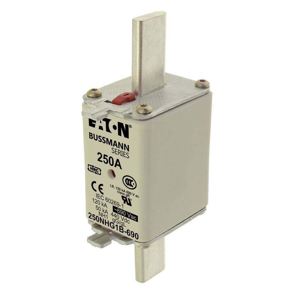 Sicherung mit Bezeichnung 'Eaton Bussmann Serie 250A', ausgelegt für 690V AC, 50kA. Weißer rechteckiger Körper mit Metallklemmen oben und unten.