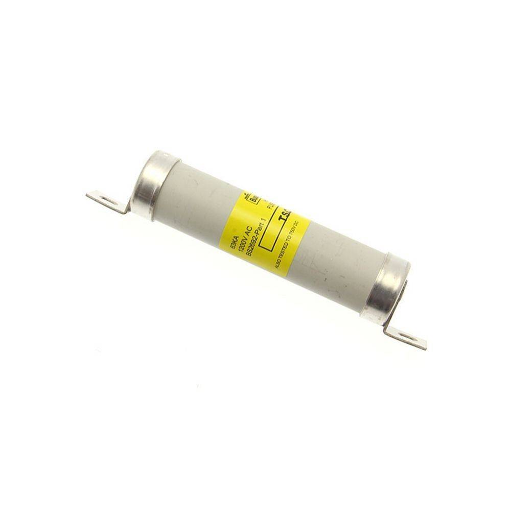 Eine zylindrische elektrische Sicherung mit Metallkappen an beiden Enden, versehen mit technischen Spezifikationen, die die Stromstärke und Spannungsbewertung angeben.