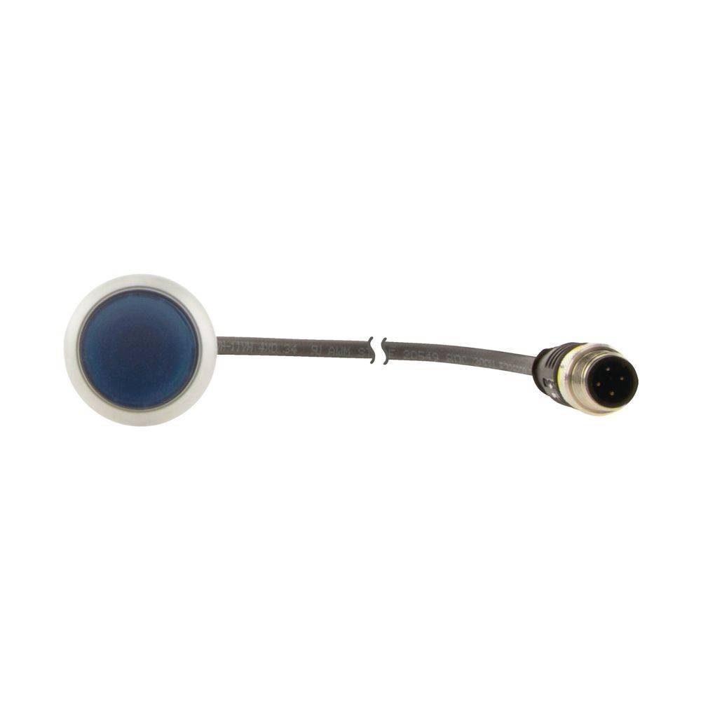 Ein runder blauer Sensor, der mit einem Kabel mit einem Metallstecker am Ende verbunden ist, der für elektronische Installationen oder Geräte verwendet wird.