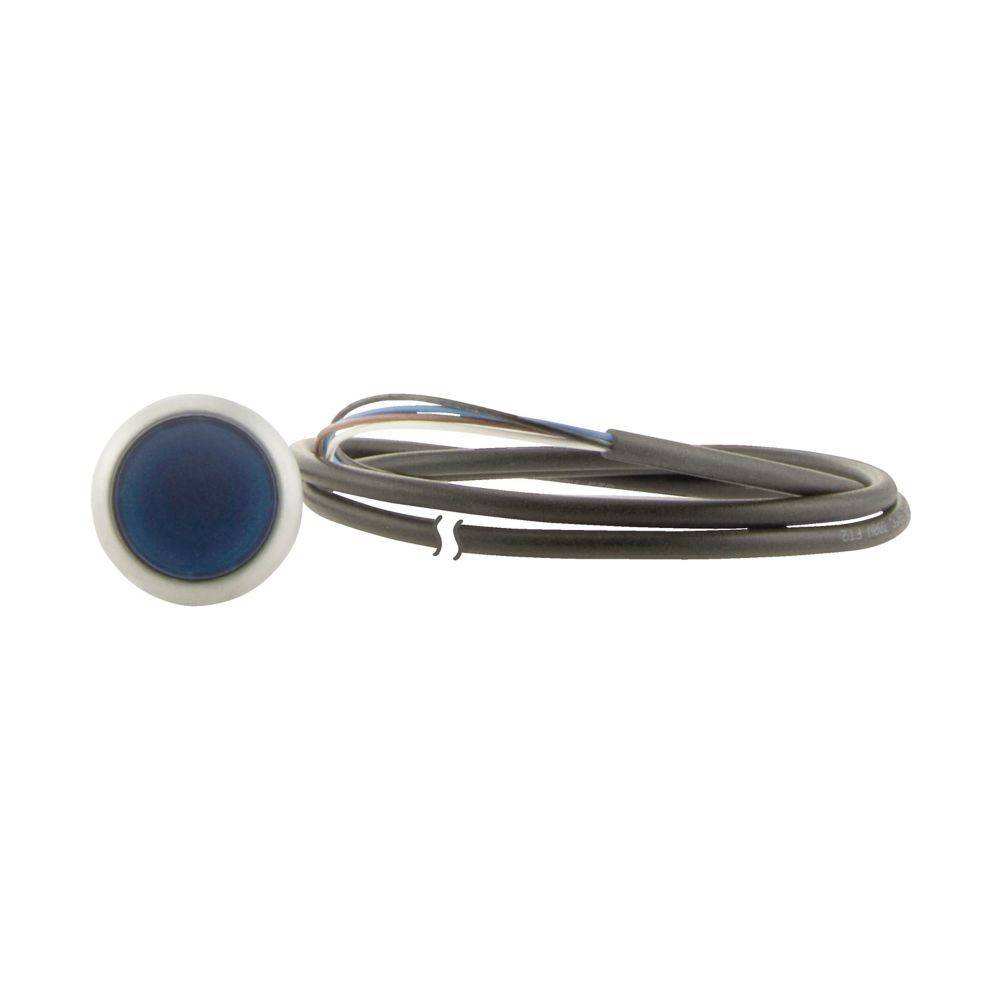Ein runder, blauer Sensor mit einem angeschlossenen Kabel, das sauber aufgerollt daneben liegt.