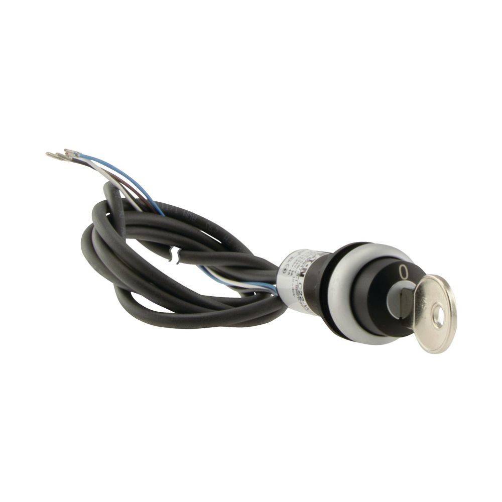 Ein schlüsselbetätigter elektrischer Schalter mit zwei Drähten, der typischerweise zur Steuerung von Stromkreisen verwendet wird, ist vor einem weißen Hintergrund abgebildet.