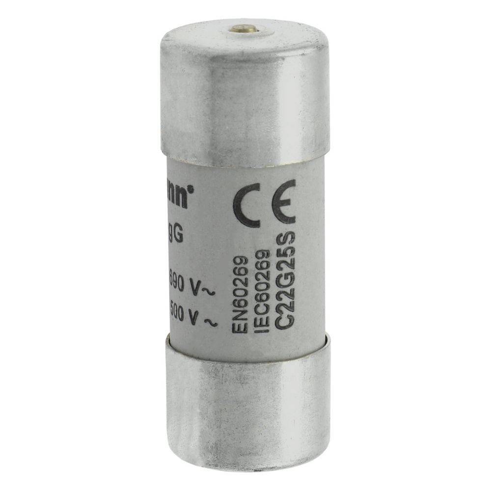 Eine zylindrische Elektrosicherung mit Metallenden und Kennzeichnungen: '690V', '100A', 'EN60269', 'C22G25S'. Geeignet für Hochspannungsanwendungen.