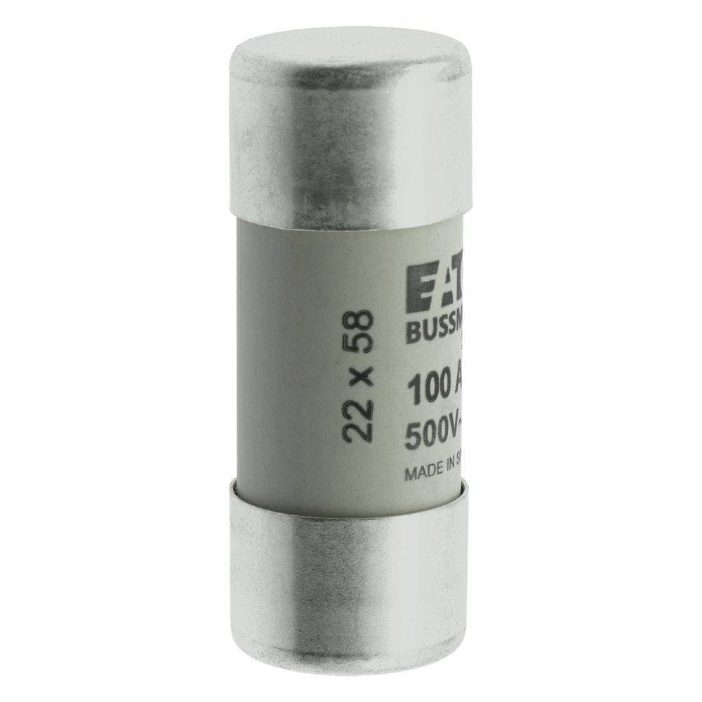 Eine zylindrische elektrische Sicherung mit der Beschriftung '22 x 58, 100A, 500V' mit metallischen Enden, verwendet zum Schutz elektrischer Schaltkreise.