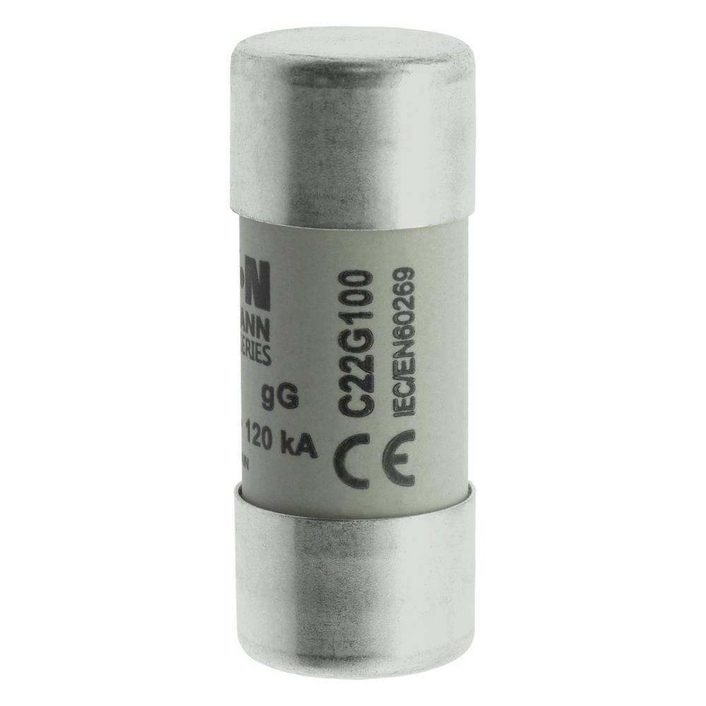Eine Zylindersicherung mit Metallkappen, beschriftet mit 'C22G100', 'gG' und '120 kA'. Sie enthält CE-Kennzeichnung und Standardnummer.