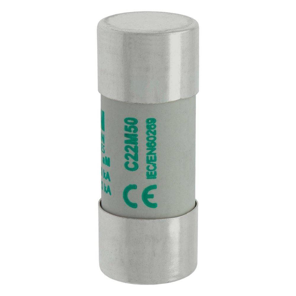 Eine zylindrische Sicherung mit Silberenden, beschriftet mit 'C22M50' und 'IEC60269'. Wird in elektrischen Schaltkreisen zum Schutz vor Überlastungen verwendet.