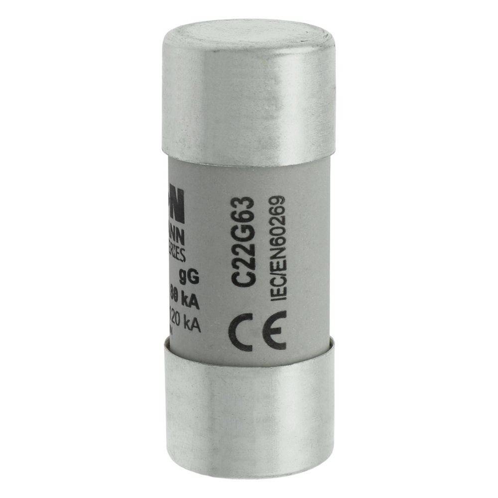 Eine Zylindersicherung mit Metallenden, beschriftet mit 'C22G63' und den Standards 'IEC60269'.