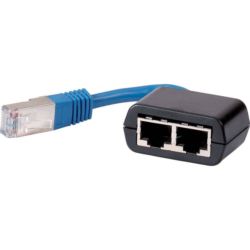 Blaues Ethernet-Kabel mit RJ45-Stecker neben einem schwarzen Netzwerk-Verteiler mit zwei Anschlüssen.