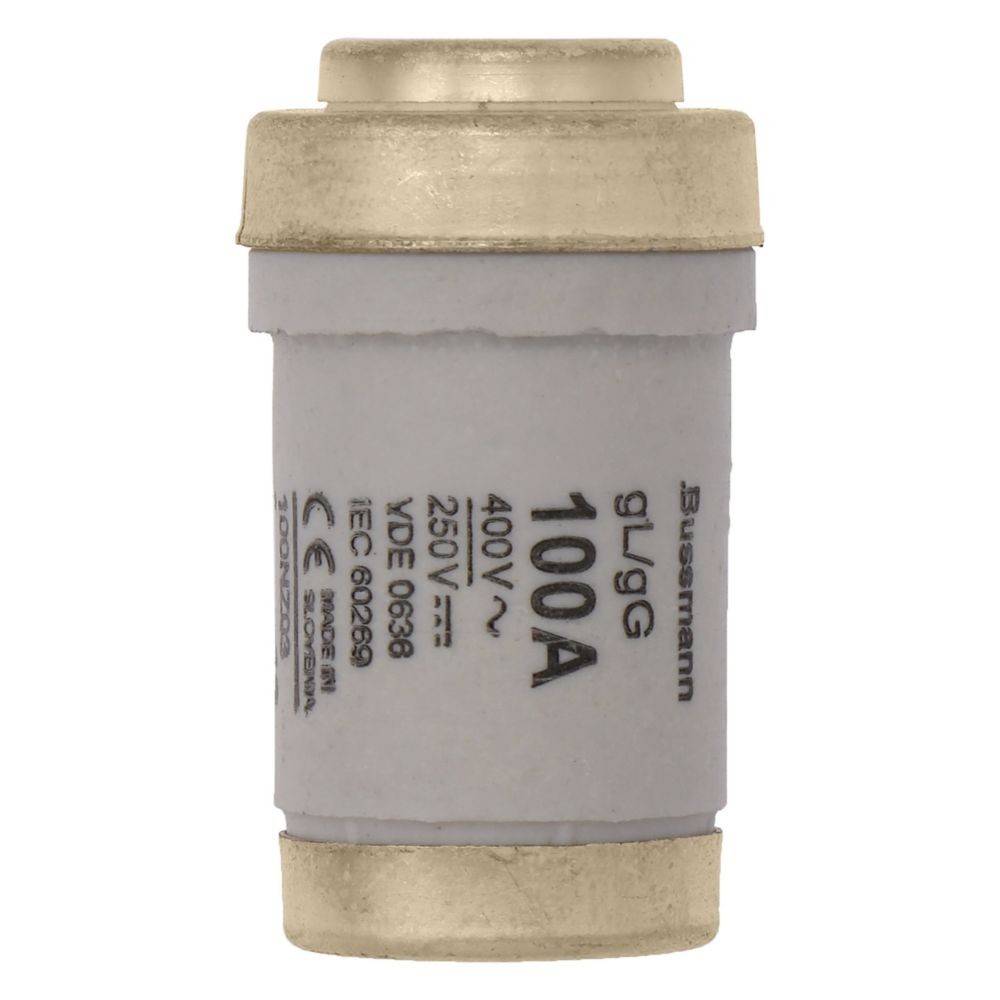 Ein zylindrischer Bussmann-Sicherungseinsatz mit der Kennzeichnung gL/gG, 100A, 400V, 250V, mit Teilenummer IEC 60269, VDE 0636.