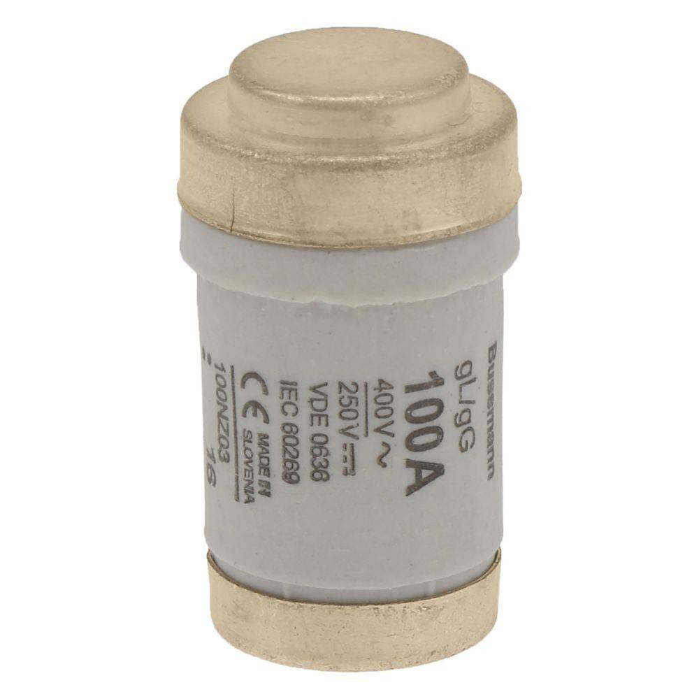 Eine zylindrische elektrische Sicherung mit Metallkappen, vom Hersteller mit '100A, 400V' gekennzeichnet. Verwendet zum Schutz von Stromkreisen vor Überstrom.