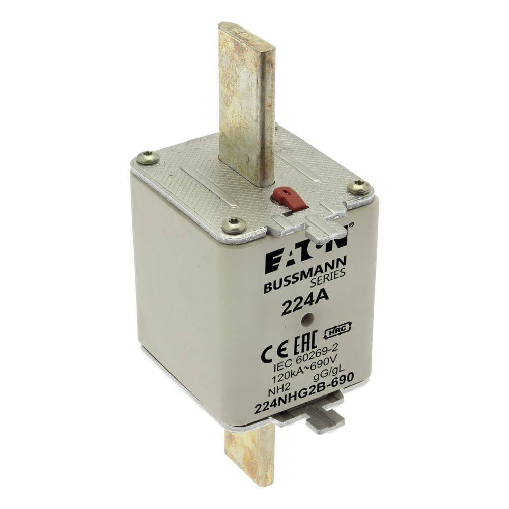 Ein rechteckiger Eaton Bussmann-Serie Elektrosicherung mit einer Nennstromstärke von 224A, ausgestattet mit metallischen Anschlussbolzen oben und unten für den Einsatz in Stromkreisen.