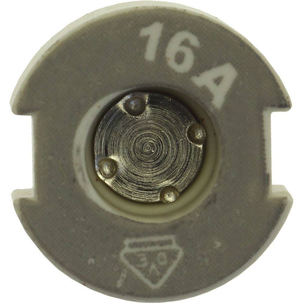 Eine 16A Keramikschmelzsicherung mit einem sichtbaren Metallkontakt in der Mitte, die für die elektrische Sicherheit verwendet wird und sicherstellt, dass Stromkreise vor Überstrom geschützt sind.