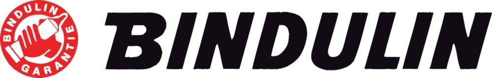 Bindan-P Holzleim 100g BFL9/L (F) - Artikel: 4007089101037