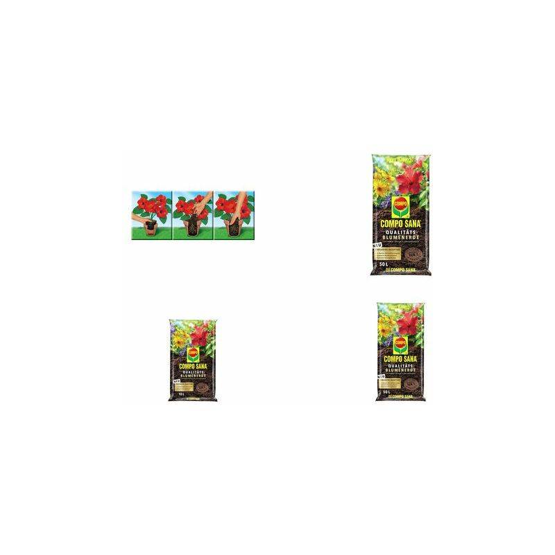 COMPO SANA Qualitäts-Blumenerde, 10 Liter