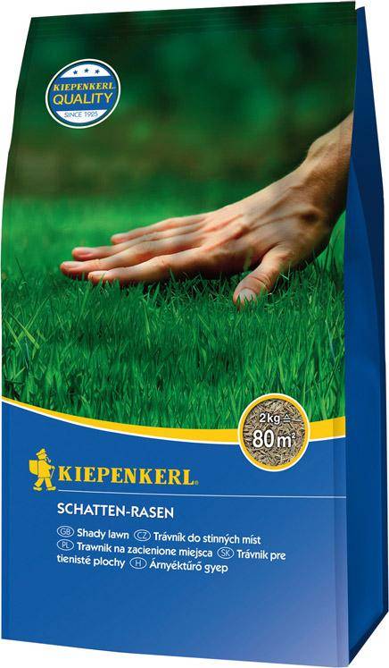 Schatten-Rasen 2 kg Kiepenkerl