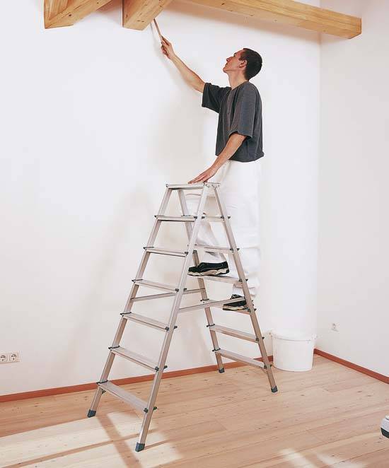 Zarges Stufen-Stehleiter 44203|2 x 3 Stufen