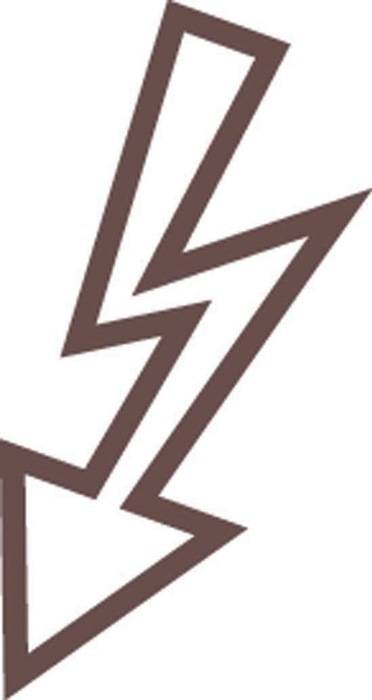 Tankwagenleiter-Zubehör elektr.leitfähig Ku. optional Zarges