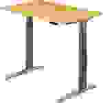 Sitz-Steh-Schreibtisch elektrisch 120x80cm Buche/Graphit-alu