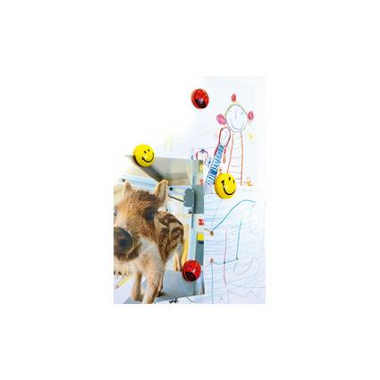 magnetoplan Haftmagnet "Marienkäfer", Durchmesser: 30 mm