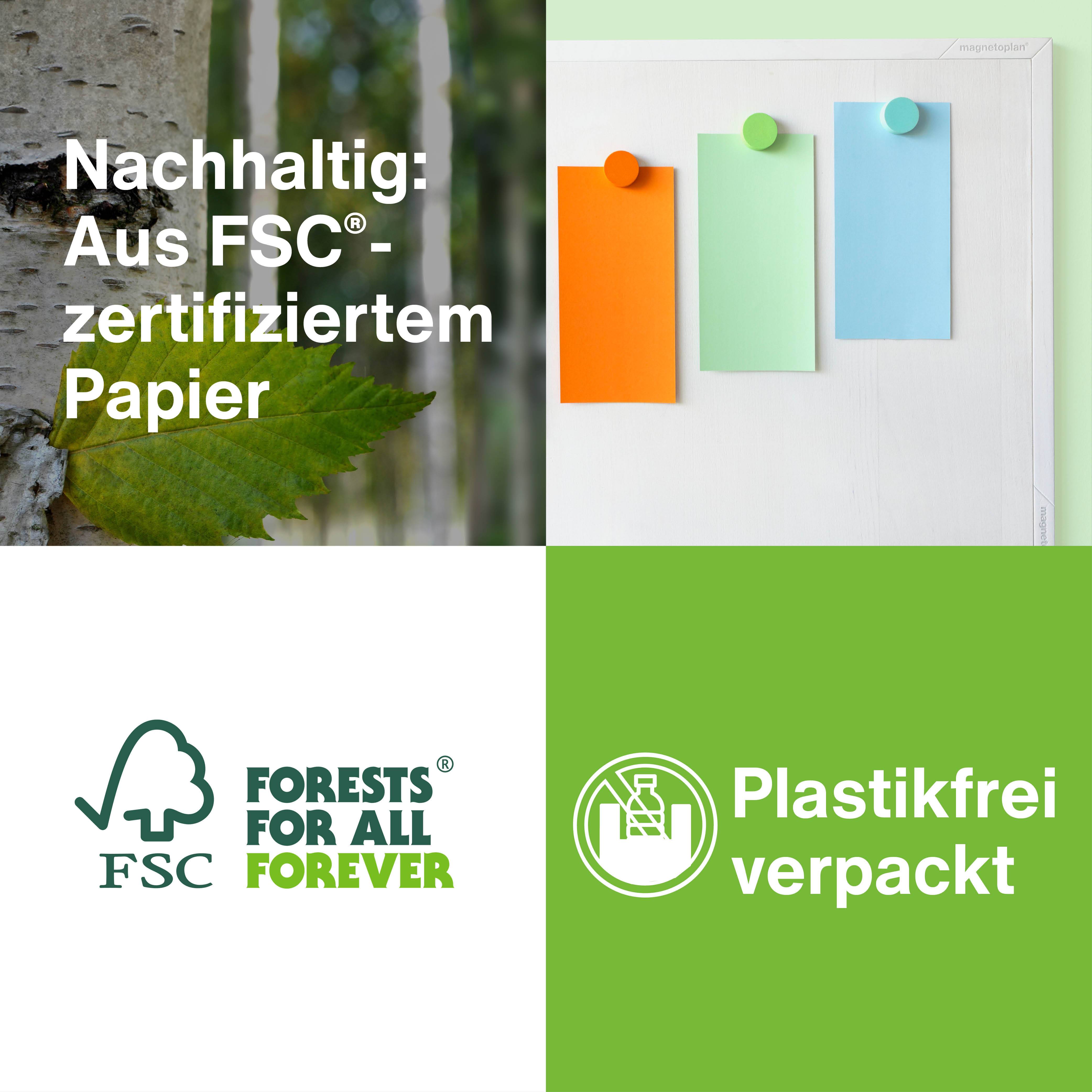 Magnetoplan Moderationskarten Blau 200x100mm 250St