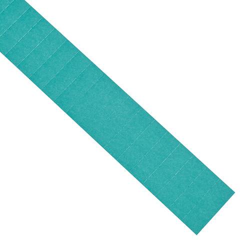 Einsteckschilder, Farbe blau, Größe 60 x 15 mm
