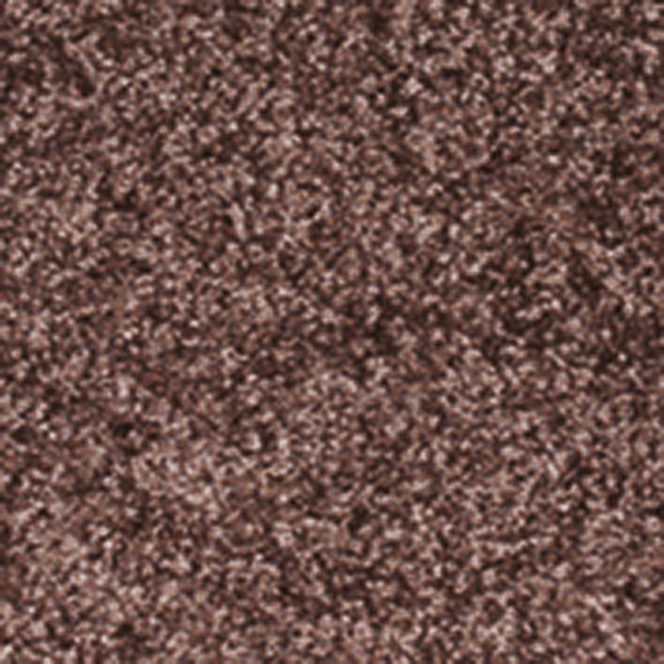 Schmutzfangmatte Eazycare Color, für den Innenbereich, braun, 600x900mm