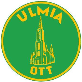 Ablageboden B1550 x T430 x H20 mm