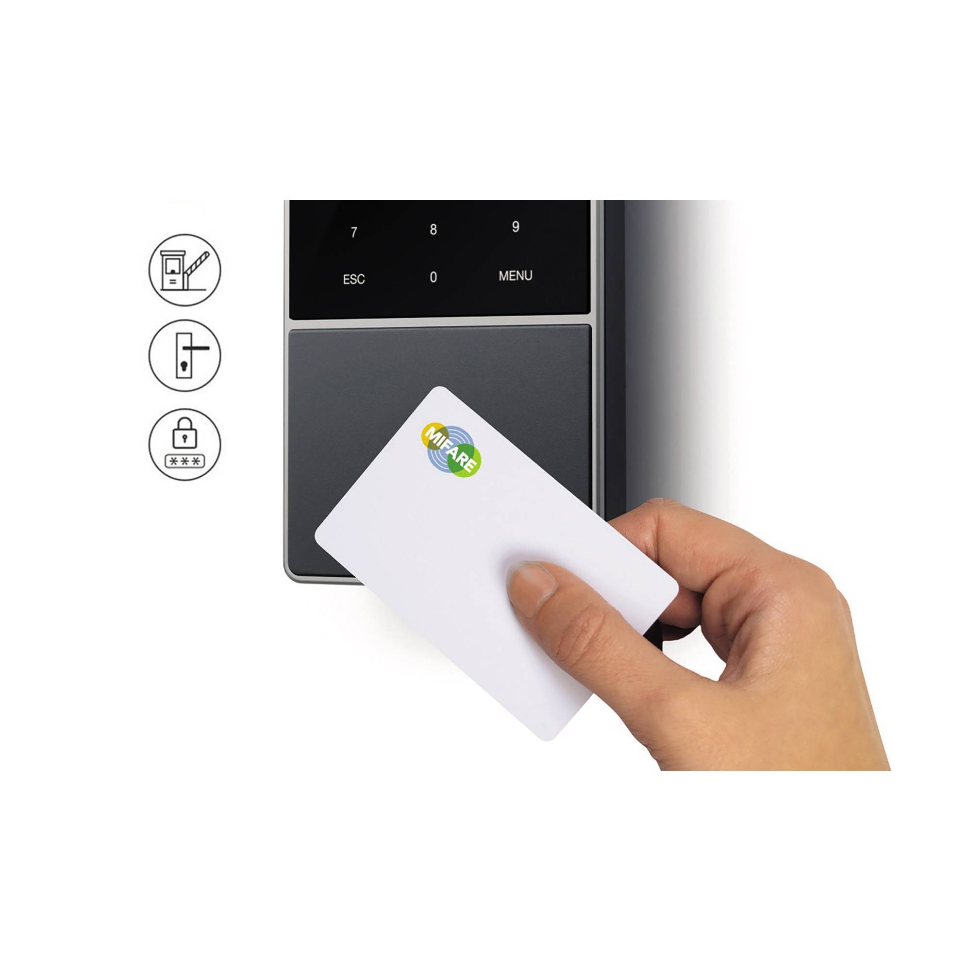 TIMEMOTO Zeiterfassungssystem TM-818SC 125-0635