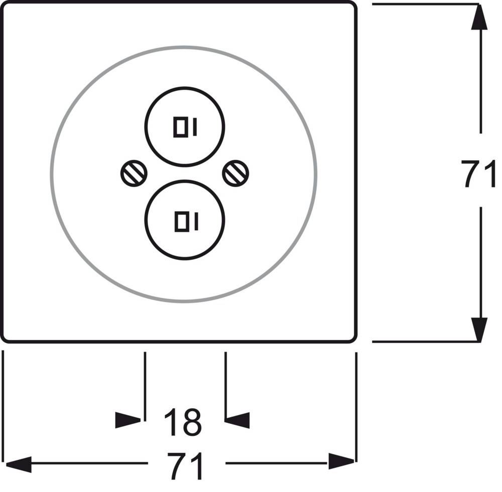 Busch-Jaeger Zentralscheibe elf/ws 1751-72