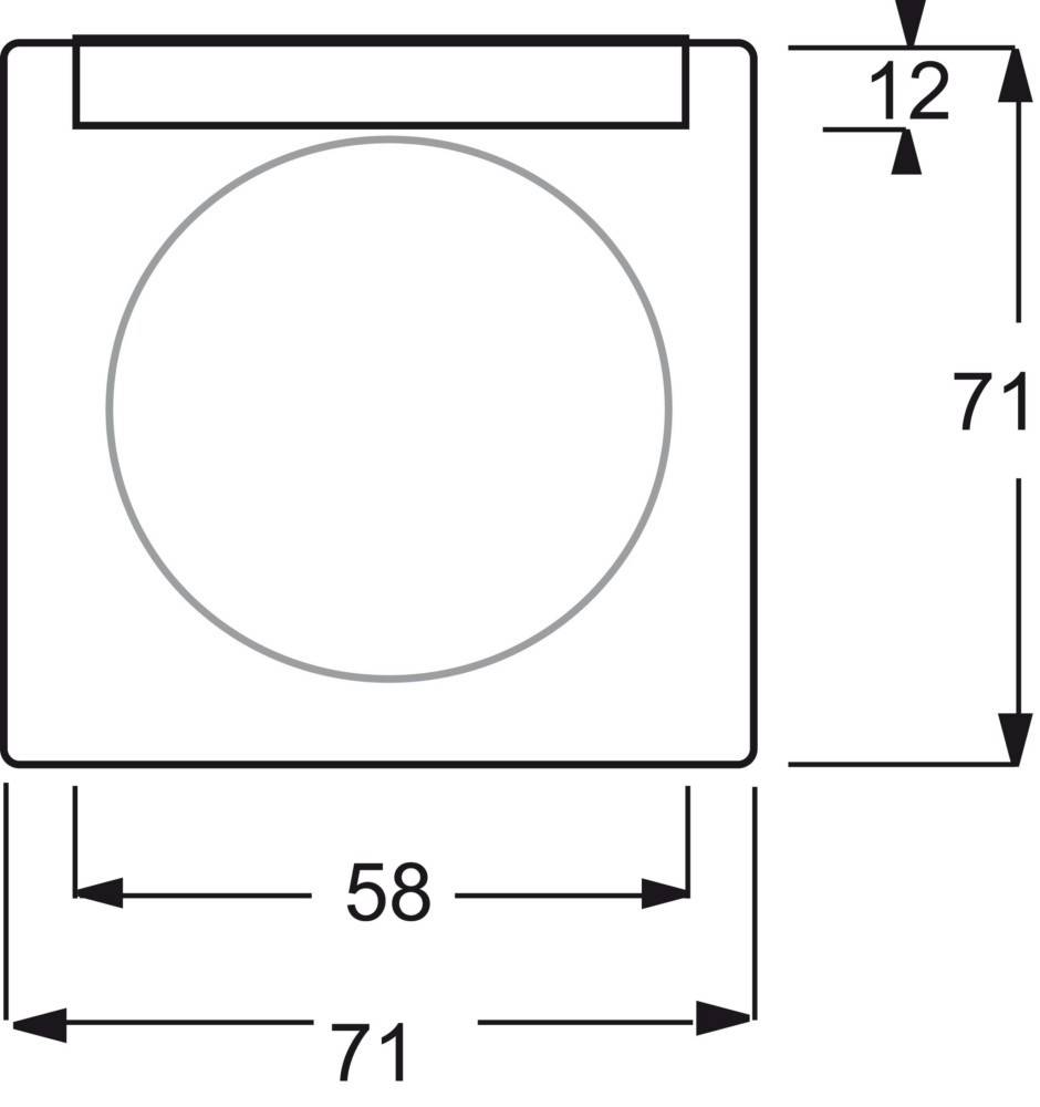 Busch-Jaeger Zentralscheibe elf/ws 1781-72