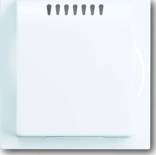 Busch-Jaeger Zentralscheibe aws 6541-74