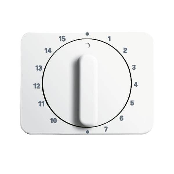 Busch-Jaeger Zentralscheibe stws gl 1770-24G-101